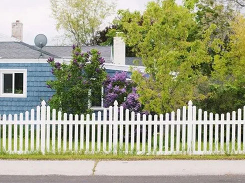 Fence Cleaning